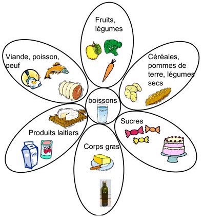 Mais qu'est-ce donc ces 5 familles d'aliments pour les personnes en parcours bariatrique ? 🍽️😄